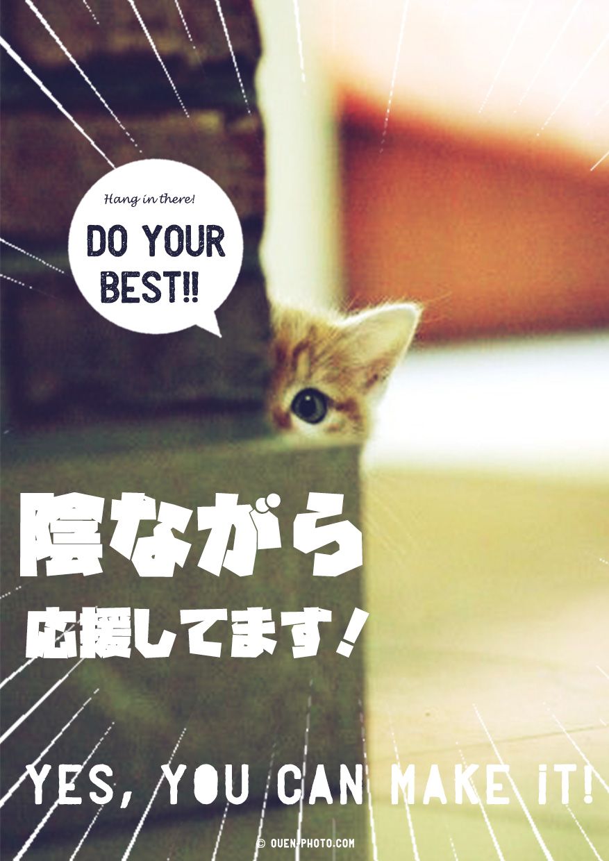 くじらcafe ごちめし 飲食店のメニューをお食事券でプレゼントできるサービス くじらcafe ごちめし 飲食店のメニューをお食事券でプレゼントできるサービス