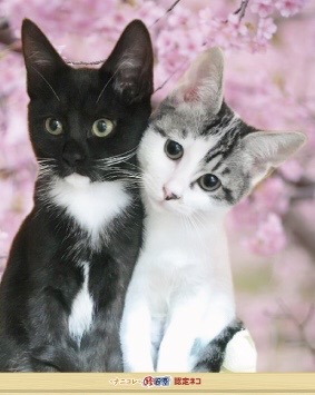 ワイワイ貿易 長崎県 さきめし 長崎よかみせキャンペーン 長崎県の飲食店を応援